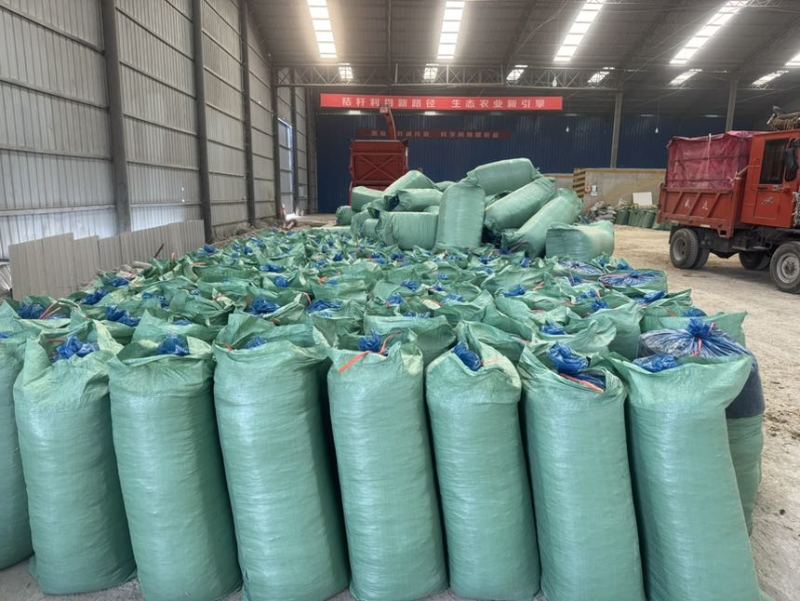 湖北玉米秸秆黄贮饲料品质优良整车发货