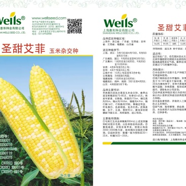 甜玉米种子