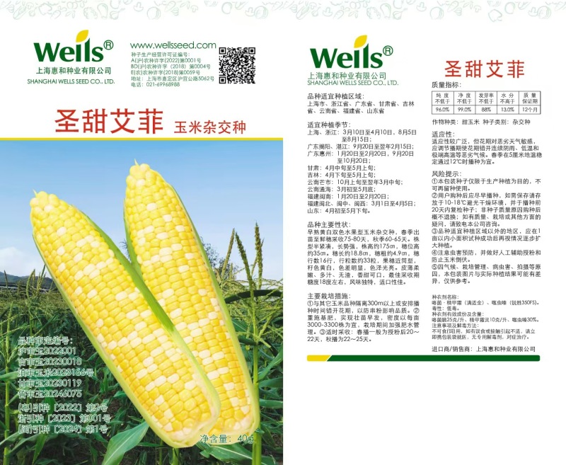 甜玉米种子