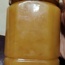 家养蜂蜜