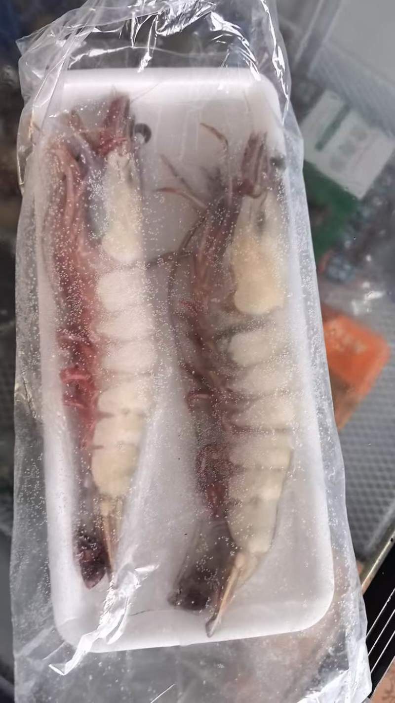 新鲜大对虾红爪大虾海洋大对虾个头大肉质紧实，冰鲜保存