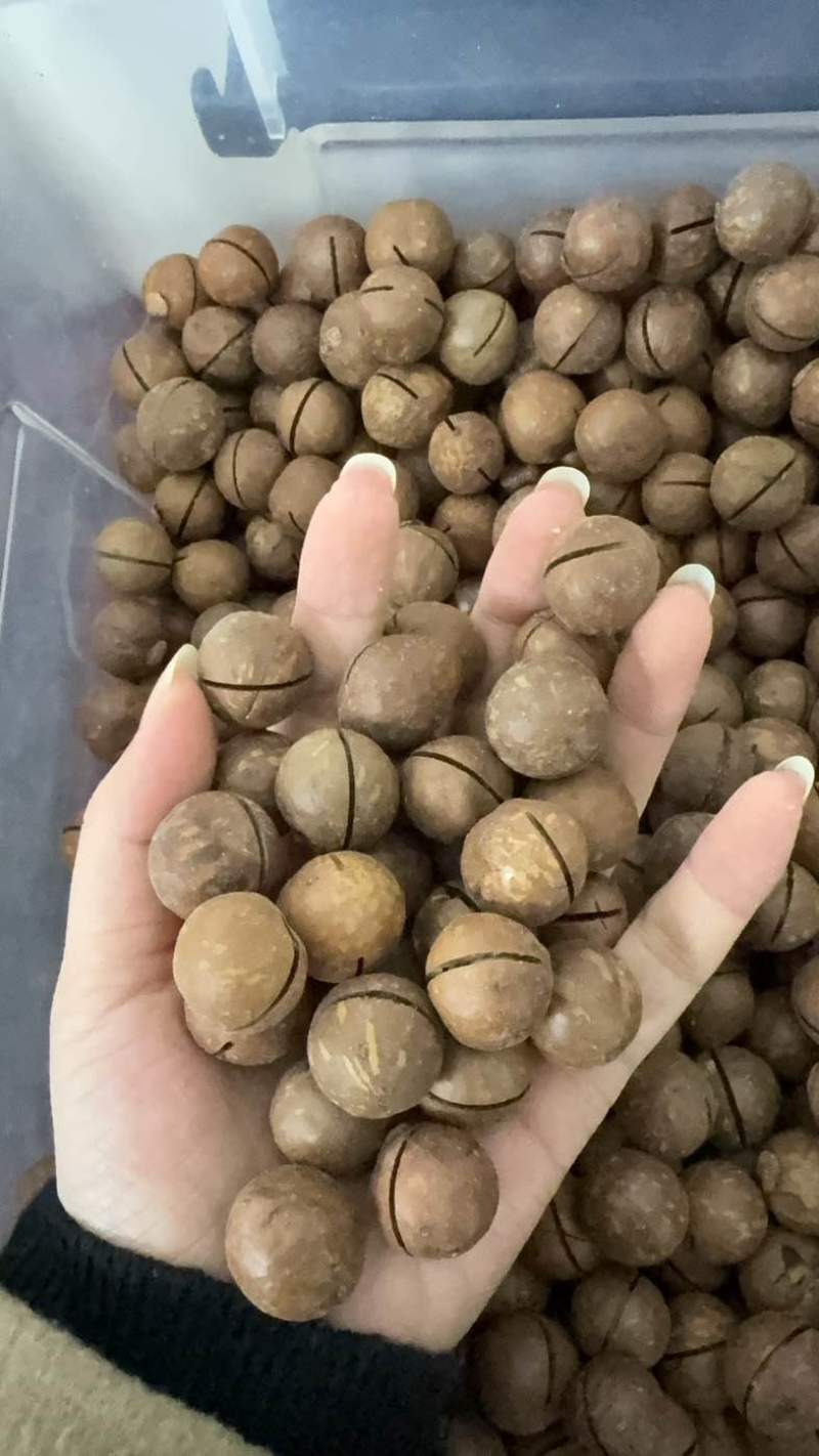 夏威夷果电商一件代发，量大无忧，有量的来
