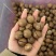 夏威夷果电商一件代发，量大无忧，有量的来