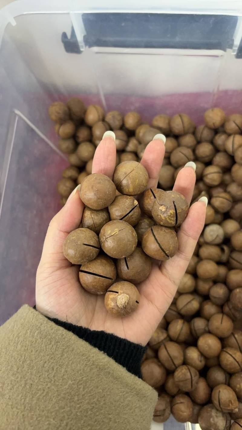 夏威夷果电商一件代发，量大无忧，有量的来