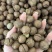 夏威夷果电商一件代发，量大无忧，有量的来
