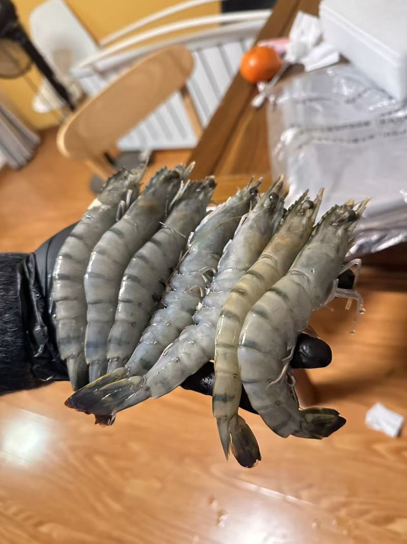 黑虎虾大板小盒各个规格全部都有肯定便宜感兴趣的加微