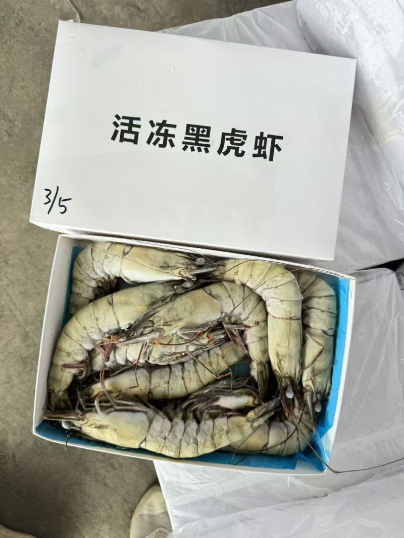 黑虎虾大板小盒各个规格全部都有肯定便宜感兴趣的加微
