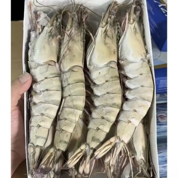 黑虎虾大板小盒各个规格全部都有肯定便宜感兴趣的加微