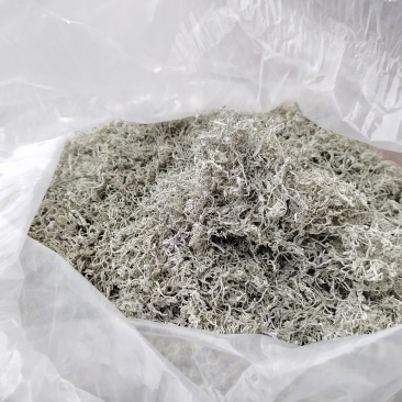 湘西自治州特产莓茶