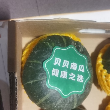 贝贝南瓜