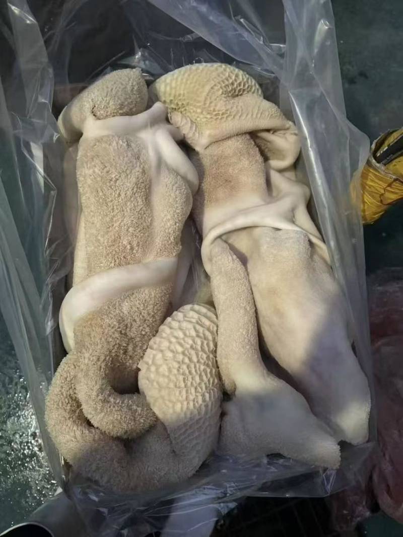牛肚，半成品，全熟，都要无任何添加剂化学原料