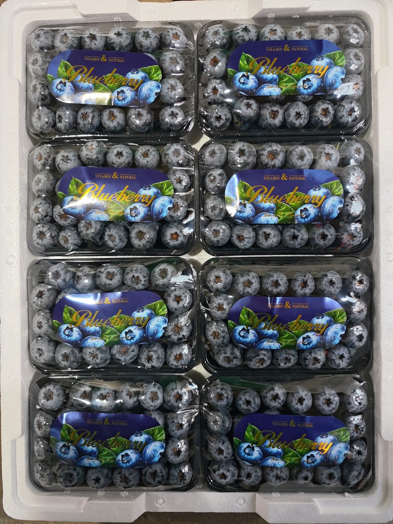 云南花香蓝莓八合一泡沫箱