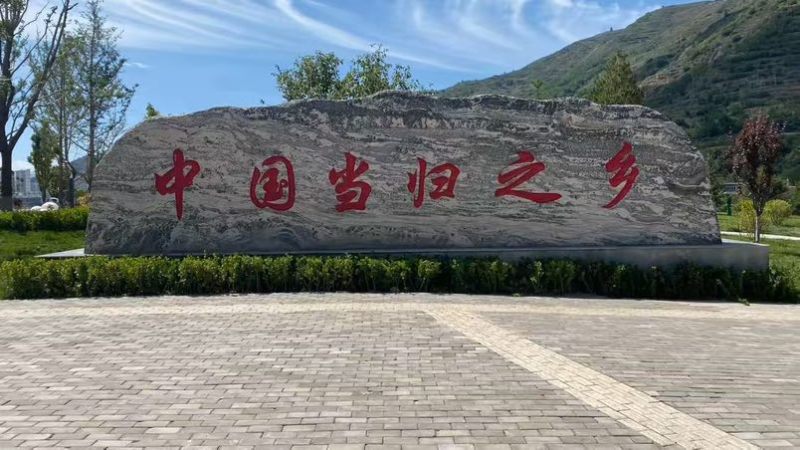 黄芪片