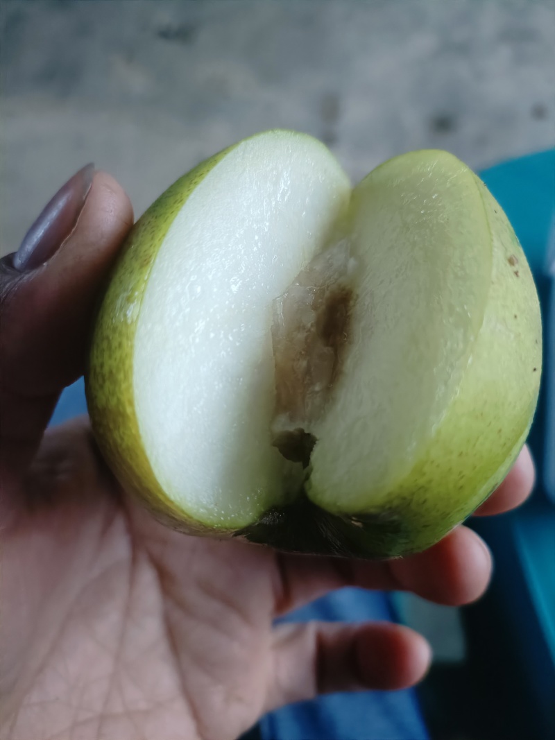 牛奶苹果枣