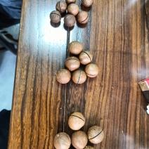 夏威夷果厂家直销，承接各大平台一件代发，欢迎实地考察。