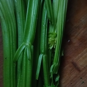 法国皇后芹菜