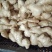 山东大黄姜