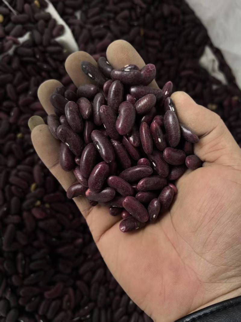 缅甸红腰豆