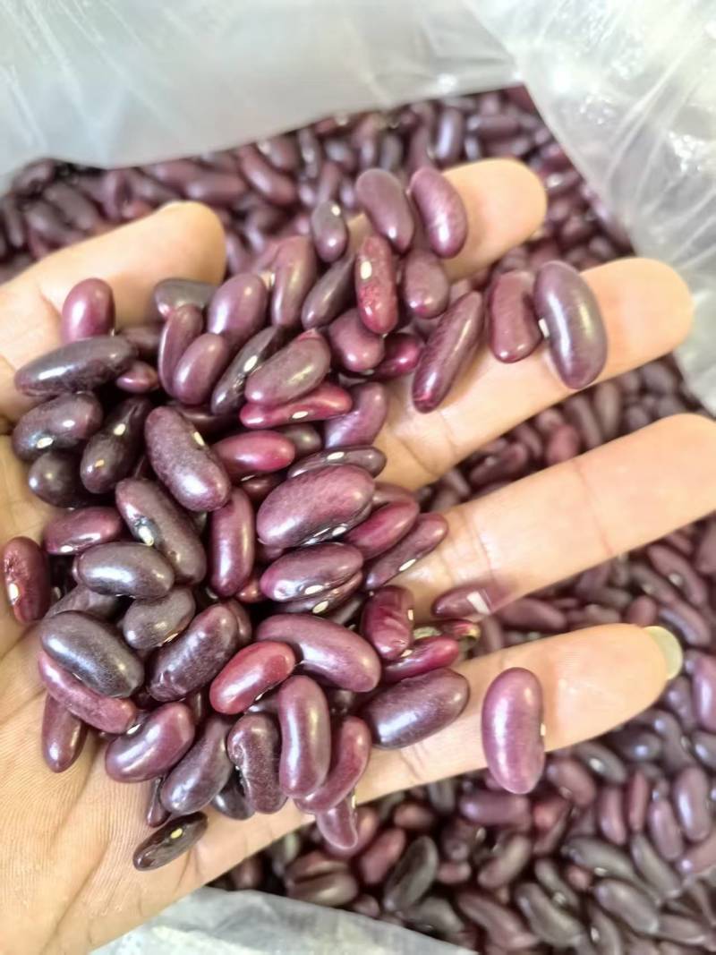 缅甸红腰豆