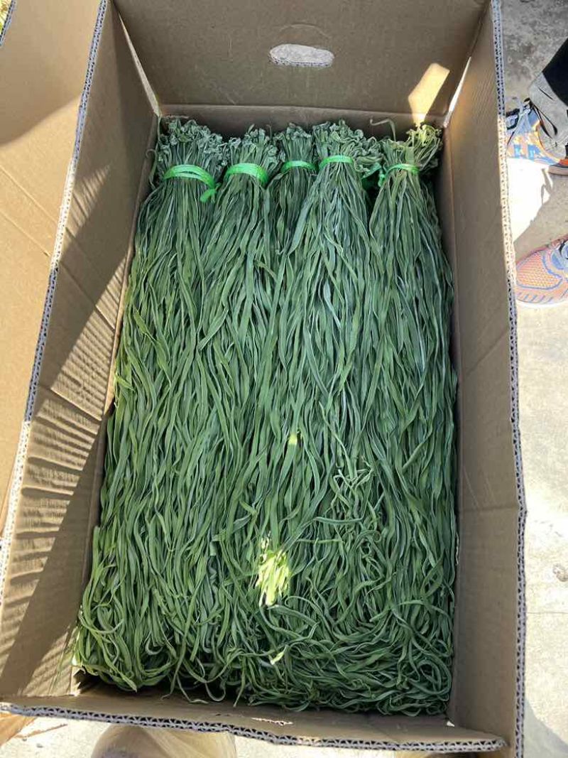 高原贡菜产地直发精品贡菜