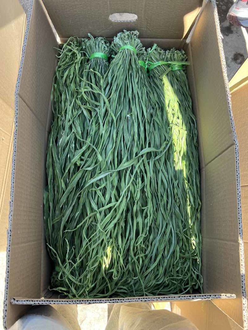高原贡菜产地直发精品贡菜