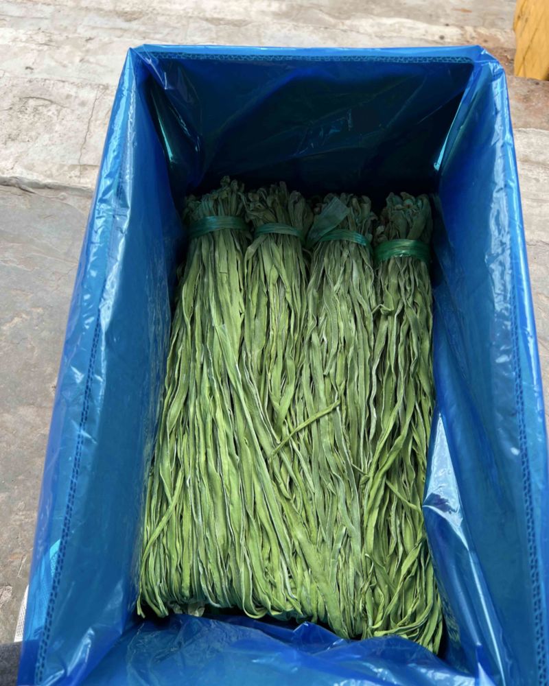 高原贡菜产地直发精品贡菜