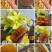 赣南百花蜂蜜
