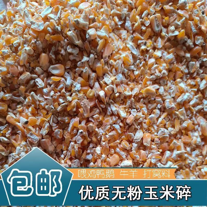 精品玉米碎喂鸽子鸡鸭鹅100斤便宜营养幼鸽食用500斤批发