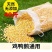 玉米碎0.6元一斤新鲜喂鸡鸭鹅鸽子饲料