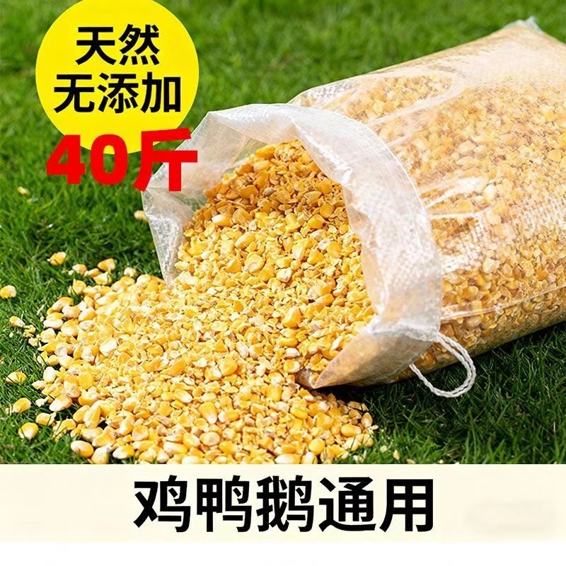 玉米碎0.6元一斤新鲜喂鸡鸭鹅鸽子饲料
