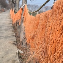 粉丝