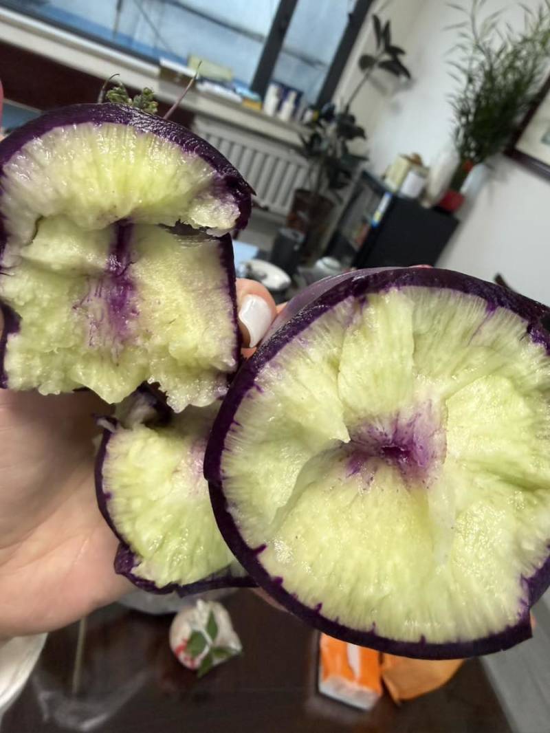 水果萝卜