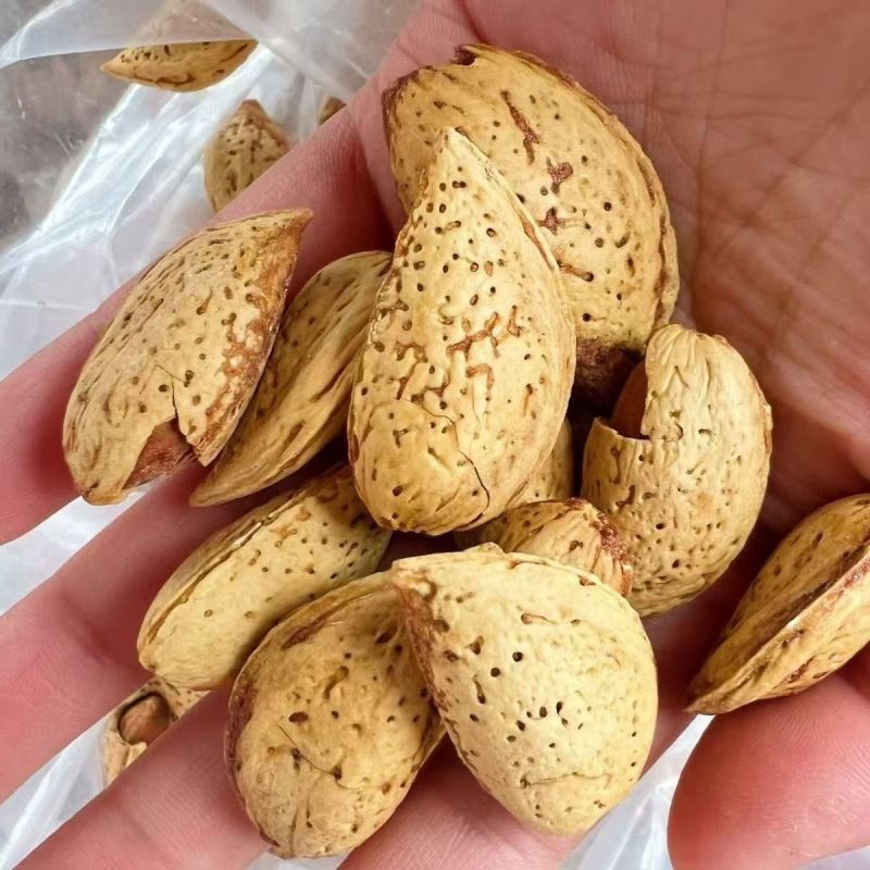电商巴旦木刀果