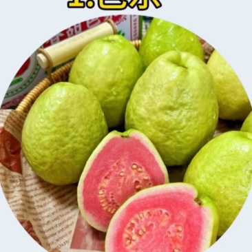 珍珠番石榴，白心芭乐，红心芭乐