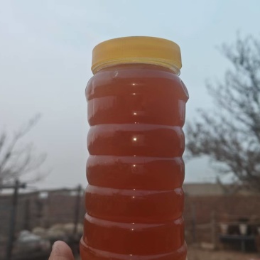新疆土蜂蜜