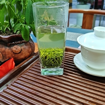 竹溪高山茶