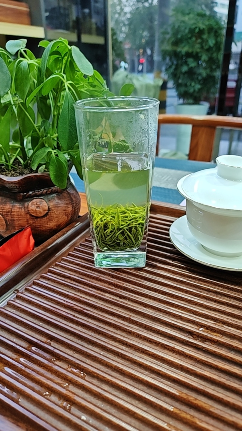 竹溪高山茶
