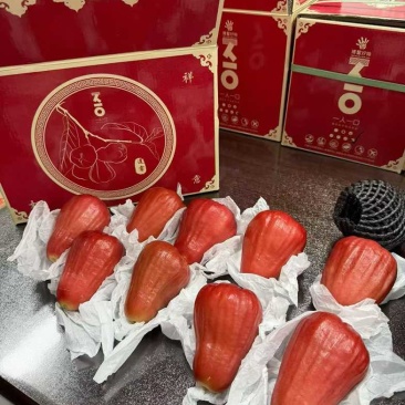 海南黑糖芭比莲雾
