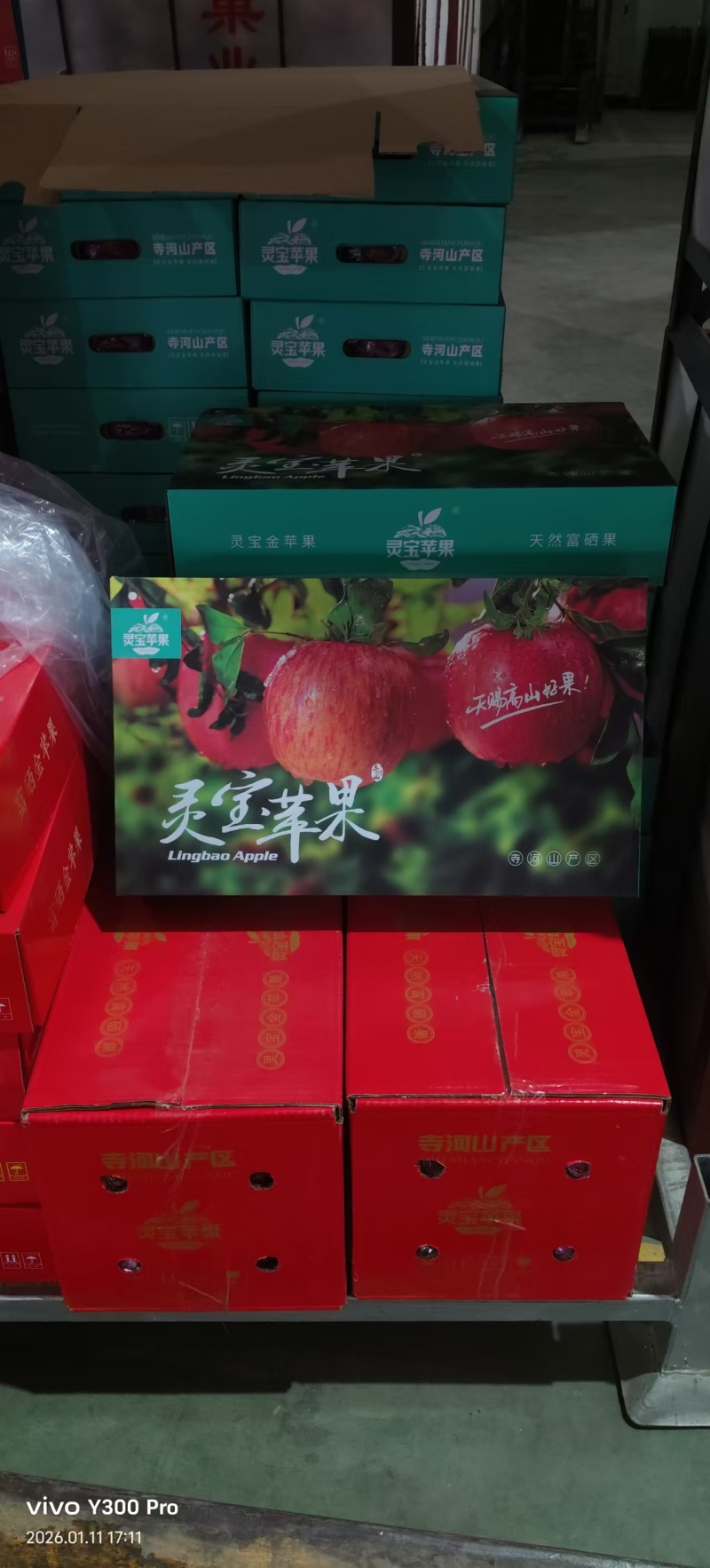 灵宝寺河山苹果发大货