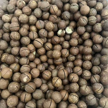 夏威夷果电商一件代发，大货批发