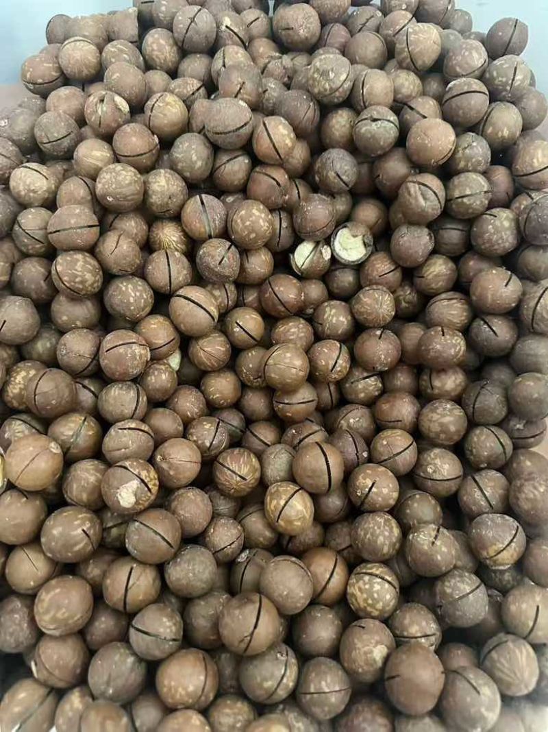 夏威夷果电商一件代发，大货批发