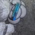 平菇