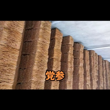 党参