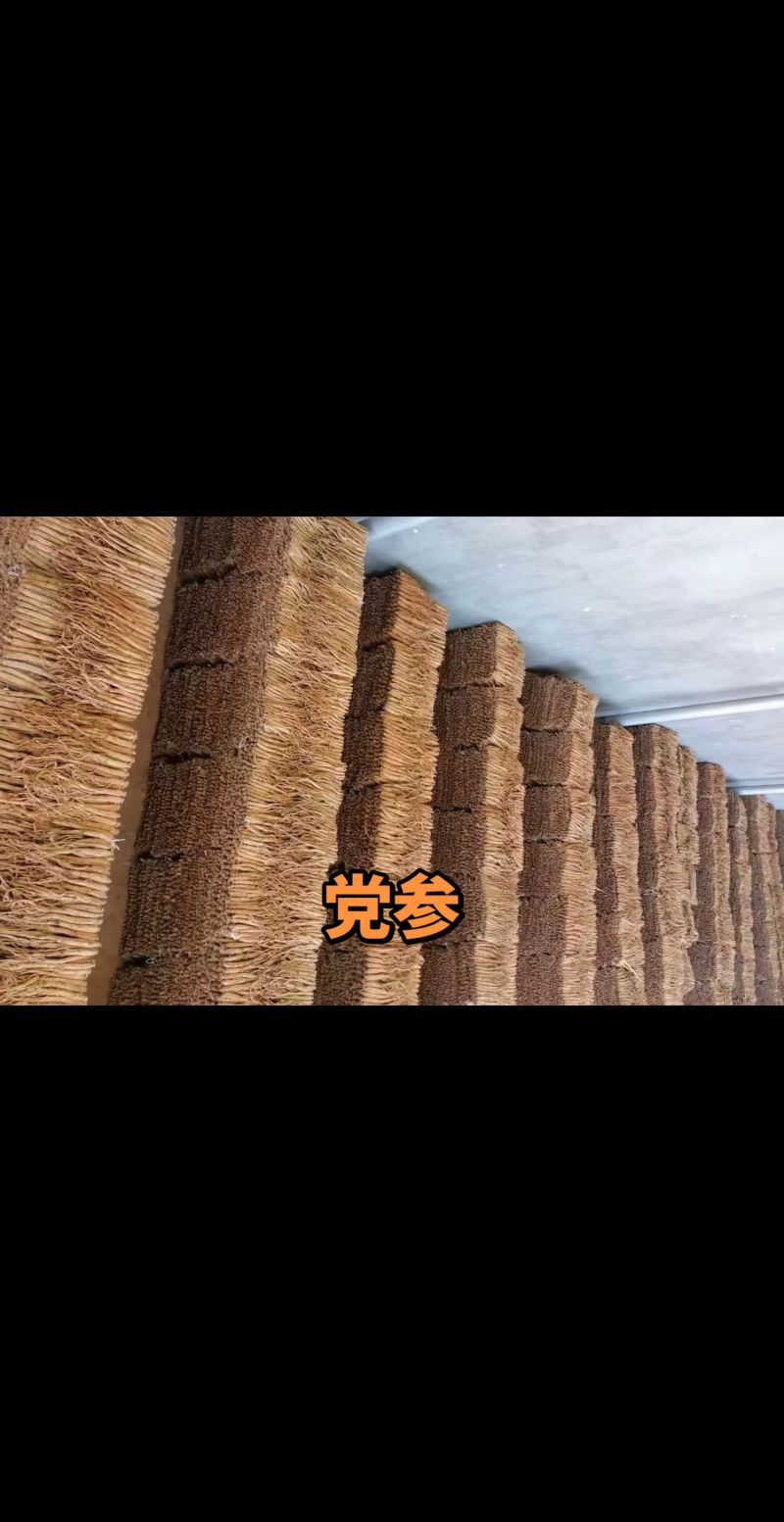 党参