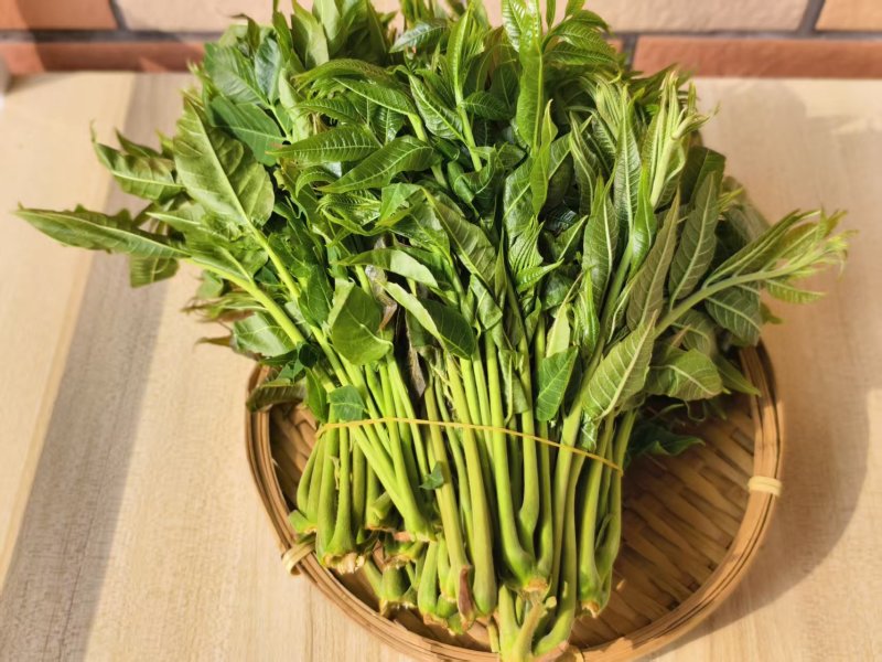 红油香椿芽