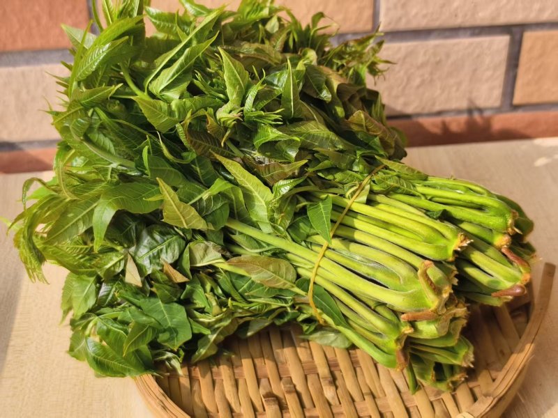 红油香椿芽