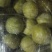 有70亩蜂糖李园转让有意者私聊