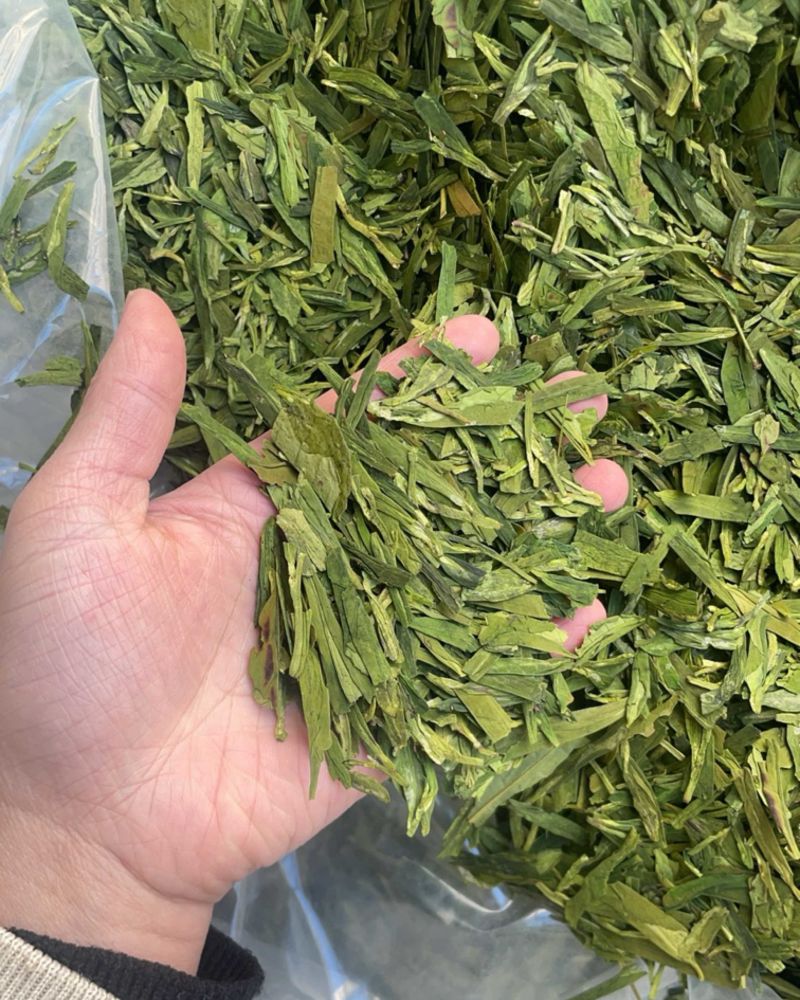 绿龙井