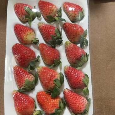 玉溪香野草莓🍓