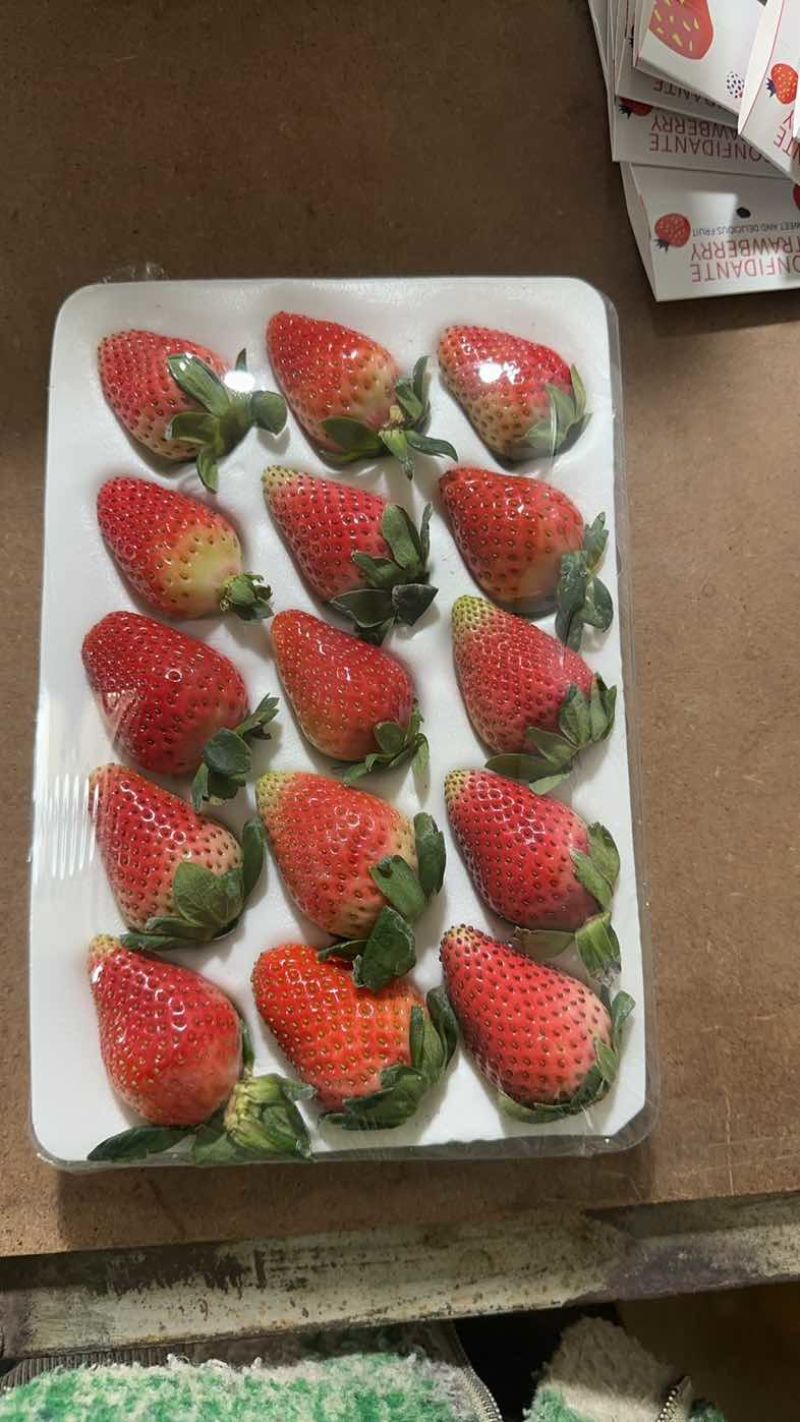 玉溪香野草莓🍓